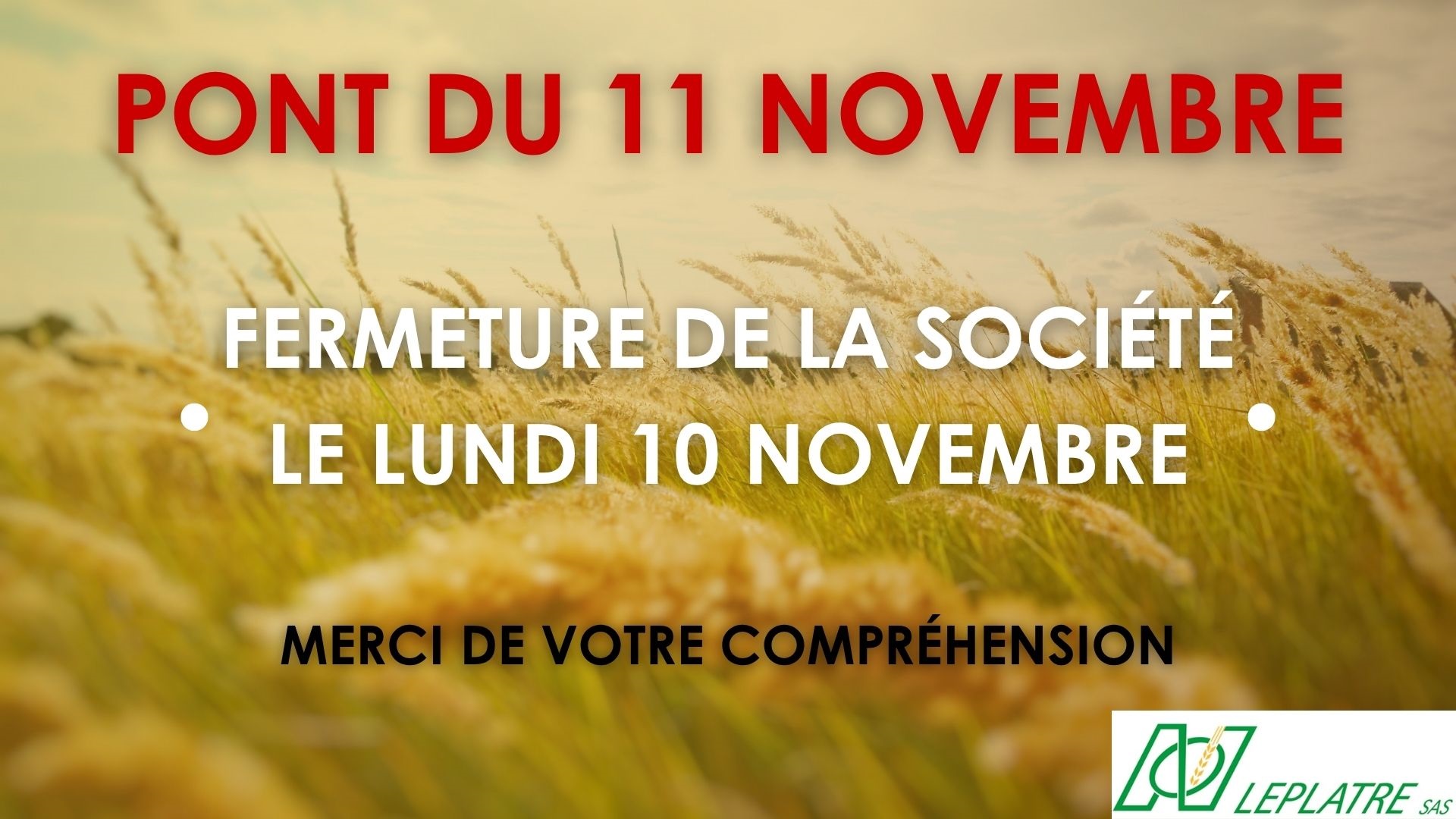 11 novembre